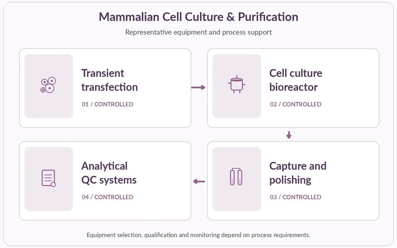 Representative cell-culture, purification and quality-control equipment.