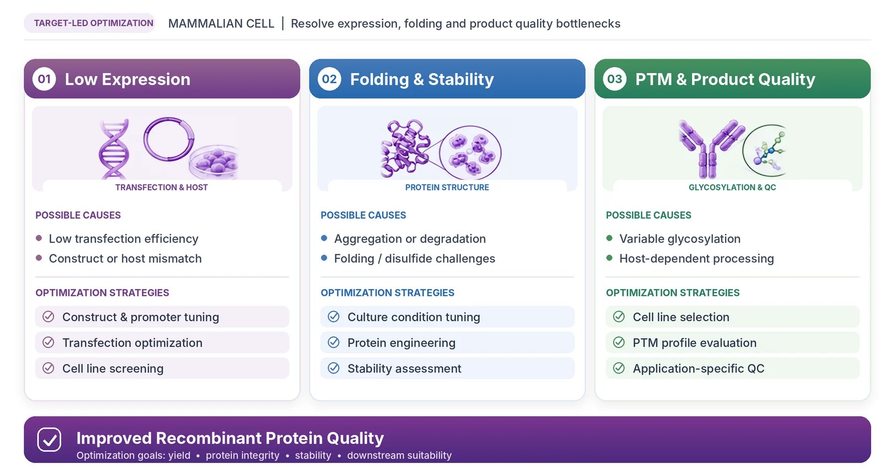 Mammalian expression challenges and optimization approaches: low expression, folding and stability, PTM and product quality.
