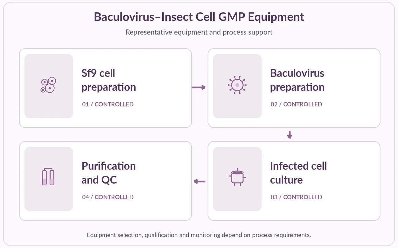 Representative insect-cell culture, virus handling and downstream equipment.