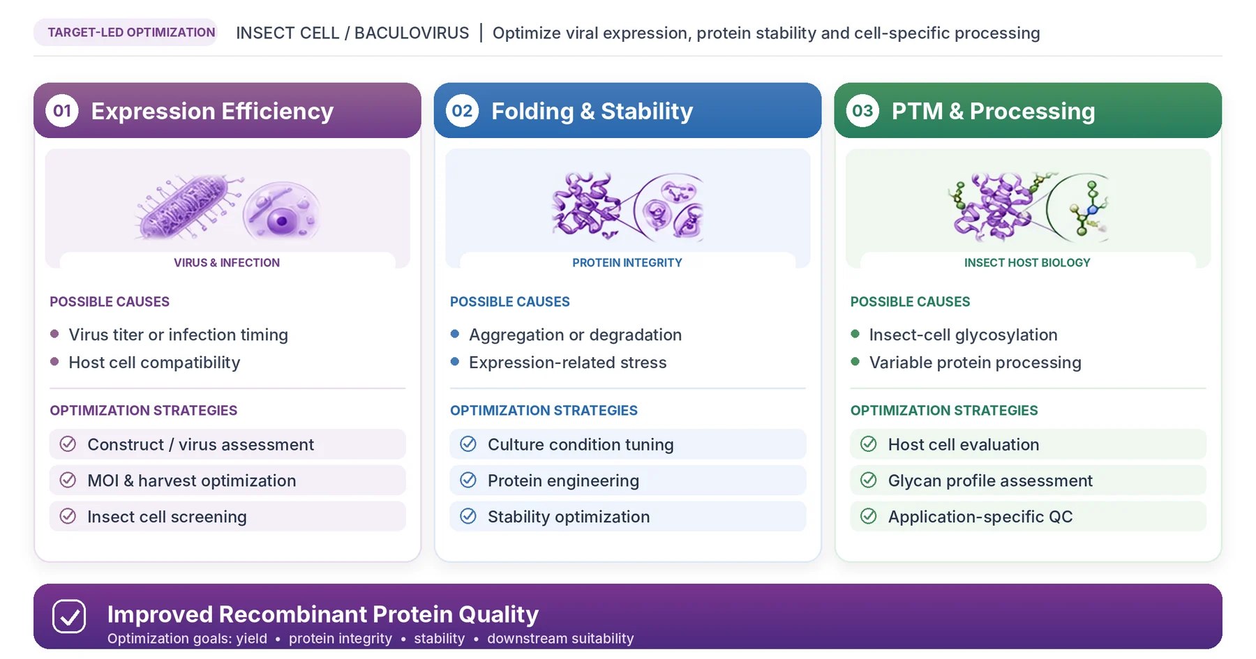 Insect cell expression challenges and optimization approaches.