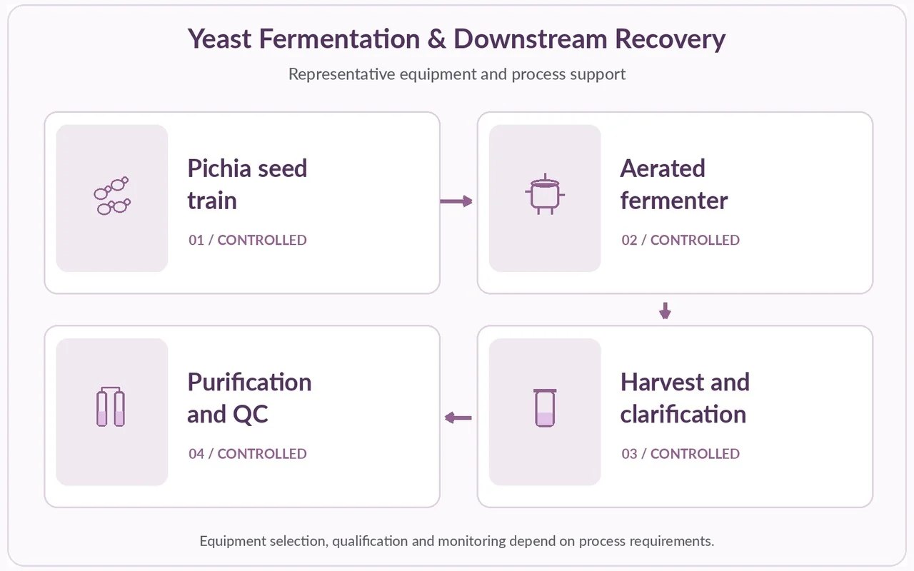 Representative Pichia fermentation, recovery and purification equipment: seed train, aerated fermenter, harvest and clarification, purification and QC.