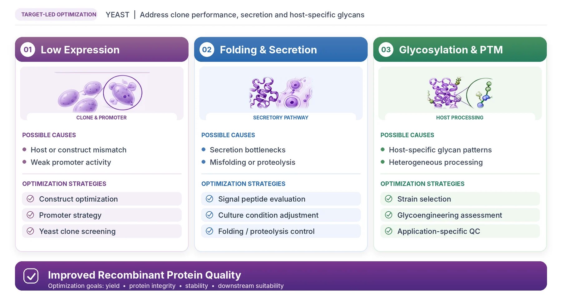 Yeast expression bottlenecks and optimization strategies.